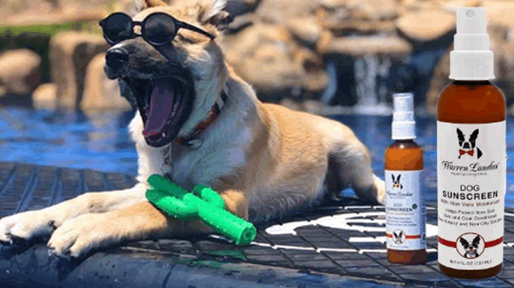 Pet Sunscreen